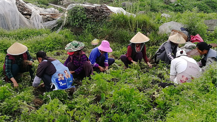 化妝品廠(chǎng)家